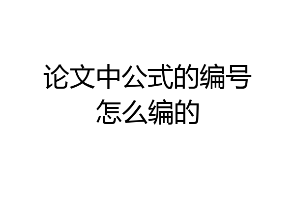 论文中公式的编号怎么编的