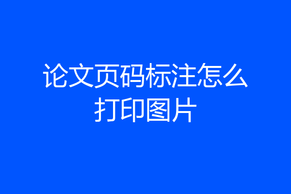 论文页码标注怎么打印图片