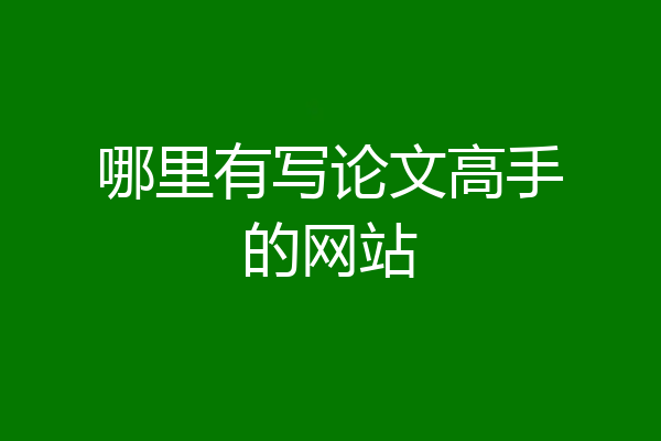 哪里有写论文高手的网站
