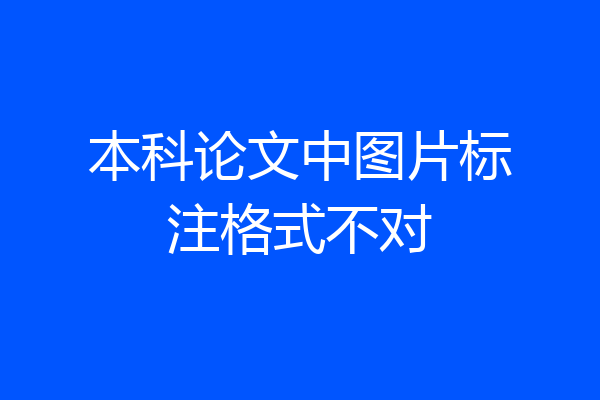 本科论文中图片标注格式不对