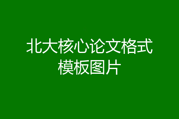 北大核心论文格式模板图片