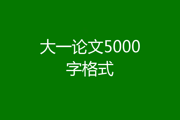 大一论文5000字格式