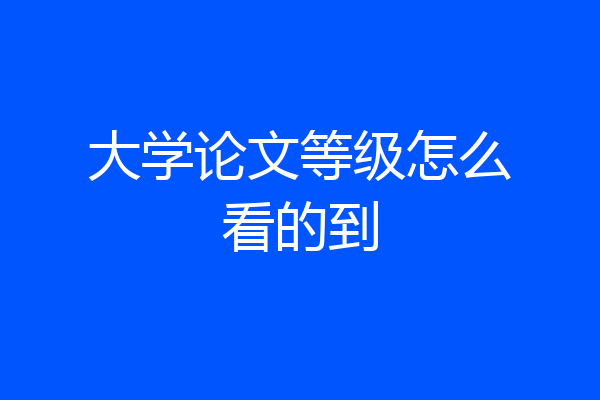 大学论文等级怎么看的到