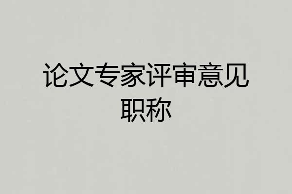 论文专家评审意见职称