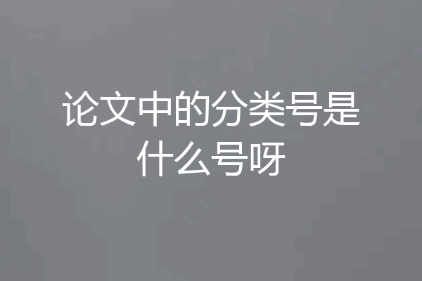 论文中的分类号是什么号呀
