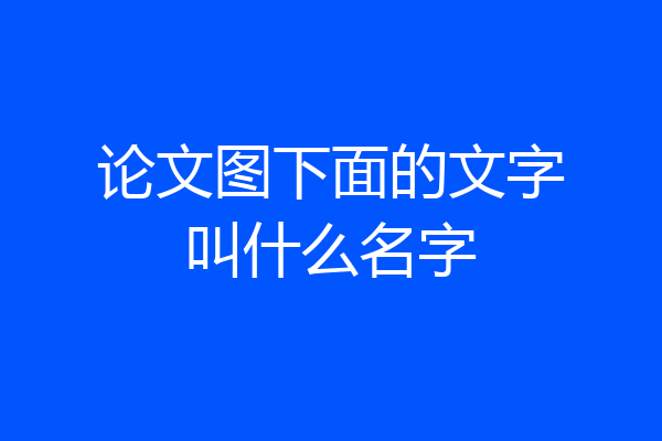 论文图下面的文字叫什么名字