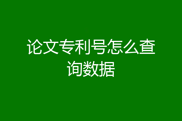 论文专利号怎么查询数据