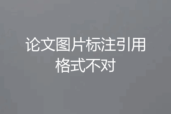 论文图片标注引用格式不对