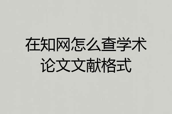 在知网怎么查学术论文文献格式