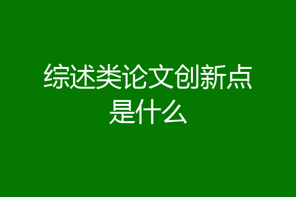 综述类论文创新点是什么
