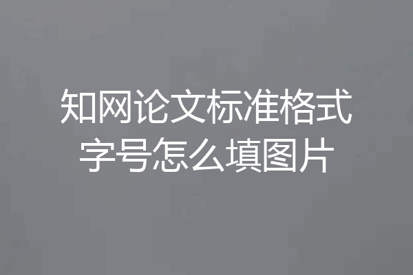 知网论文标准格式字号怎么填图片