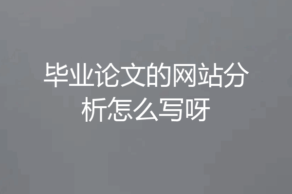毕业论文的网站分析怎么写呀