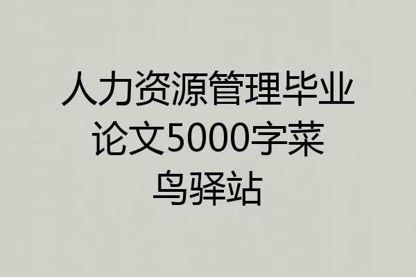 人力资源管理毕业论文5000字菜鸟驿站