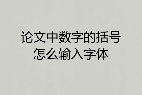 论文中数字的括号怎么输入字体