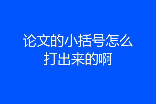 论文的小括号怎么打出来的啊