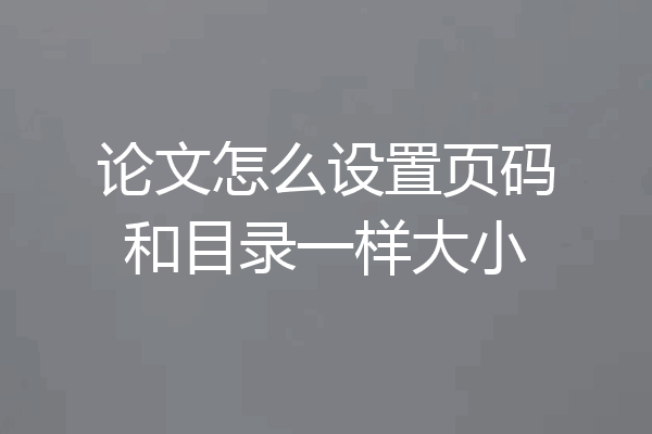 论文怎么设置页码和目录一样大小
