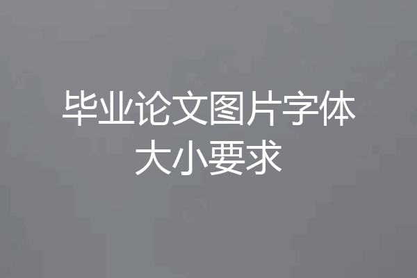 毕业论文图片字体大小要求