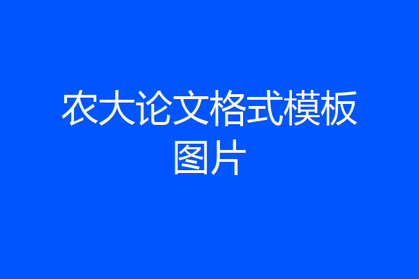 农大论文格式模板图片
