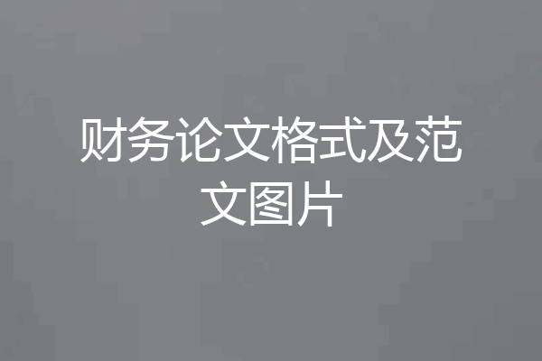 财务论文格式及范文图片