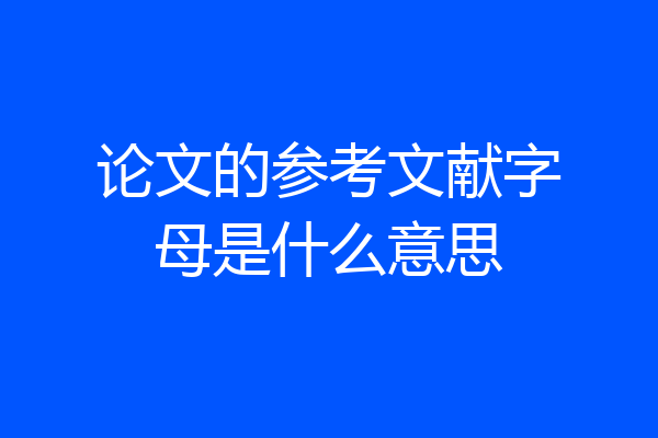 论文的参考文献字母是什么意思