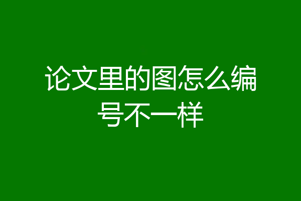 论文里的图怎么编号不一样