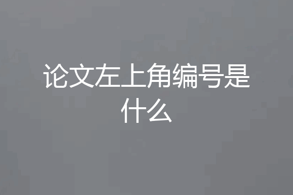 论文左上角编号是什么