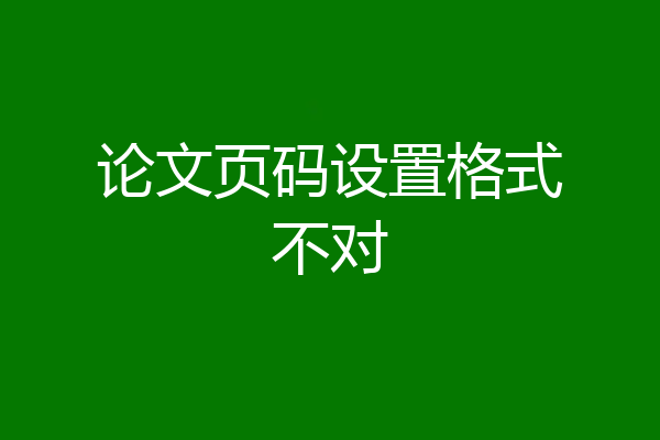 论文页码设置格式不对