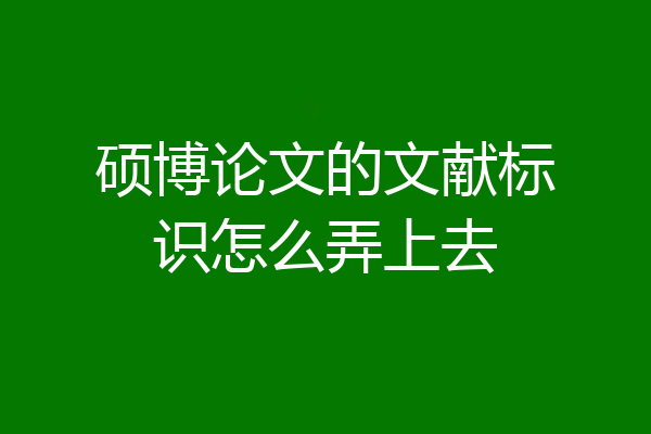 硕博论文的文献标识怎么弄上去