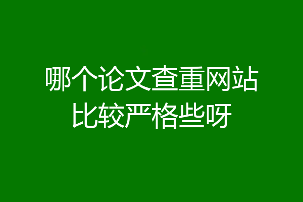 哪个论文查重网站比较严格些呀