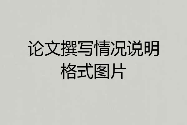 论文撰写情况说明格式图片