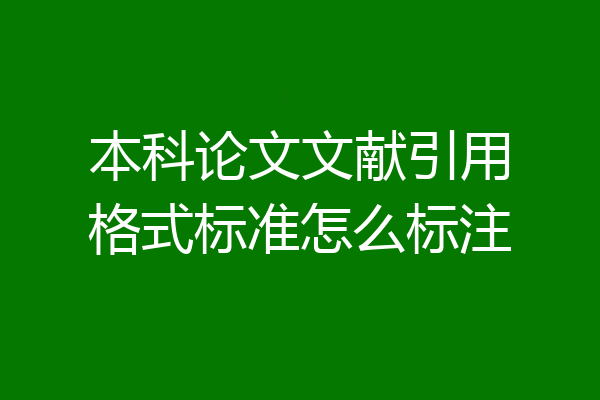 本科论文文献引用格式标准怎么标注
