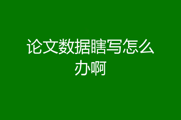 论文数据瞎写怎么办啊