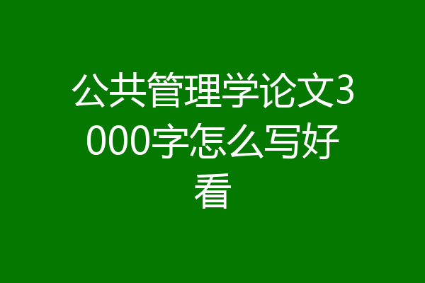 公共管理学论文3000字怎么写好看