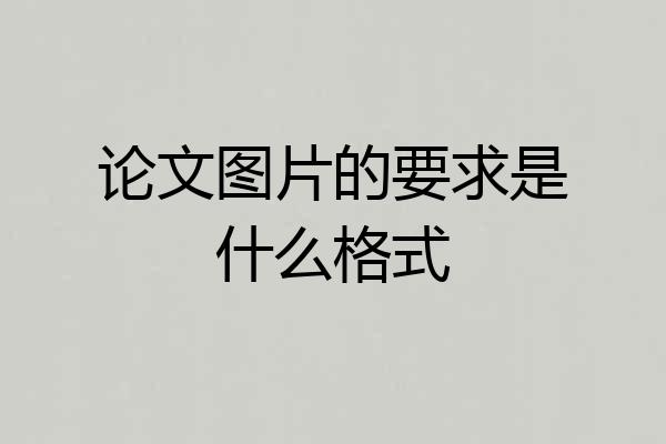 论文图片的要求是什么格式