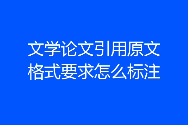 文学论文引用原文格式要求怎么标注