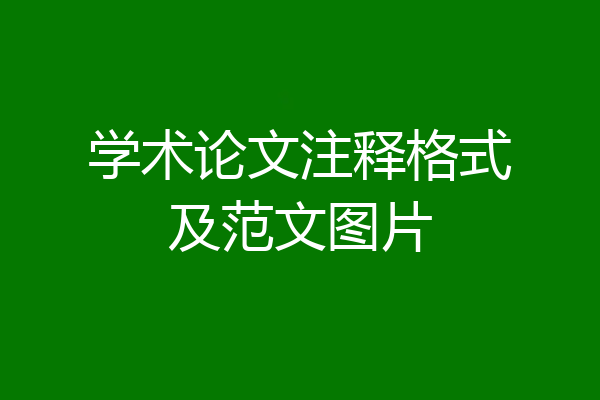 学术论文注释格式及范文图片