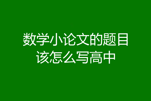 数学小论文的题目该怎么写高中