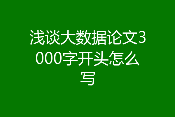 浅谈大数据论文3000字开头怎么写