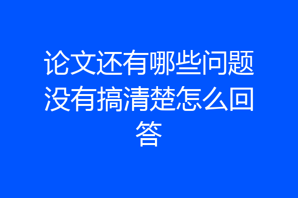 论文还有哪些问题没有搞清楚怎么回答