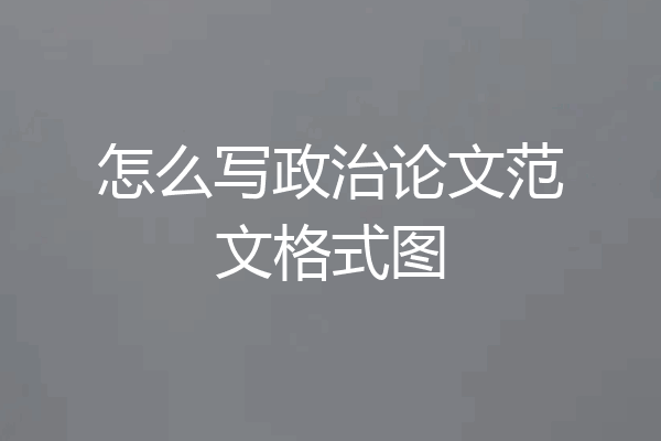 怎么写政治论文范文格式图
