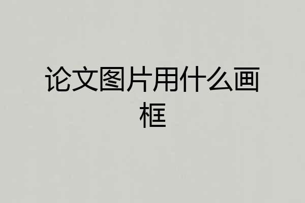 论文图片用什么画框