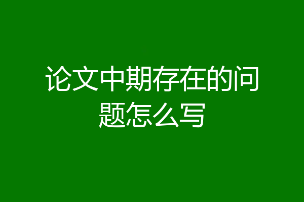 论文中期存在的问题怎么写