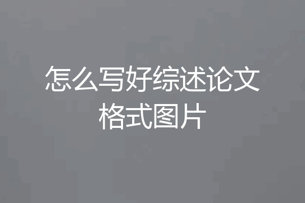 怎么写好综述论文格式图片