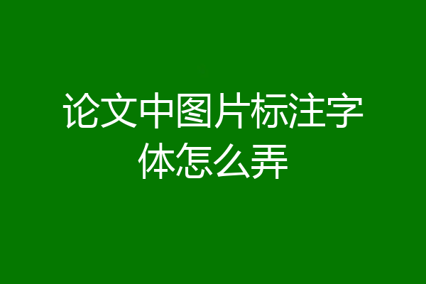 论文中图片标注字体怎么弄
