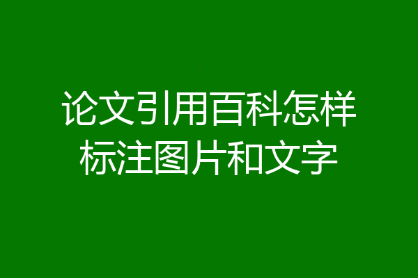 论文引用百科怎样标注图片和文字