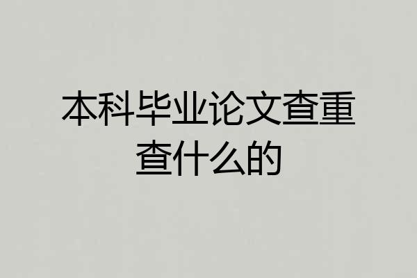 本科毕业论文查重查什么的