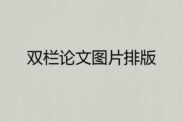 双栏论文图片排版