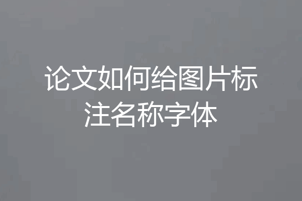 论文如何给图片标注名称字体