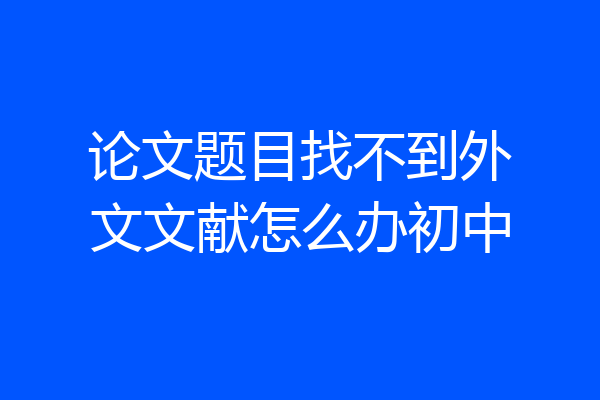 论文题目找不到外文文献怎么办初中