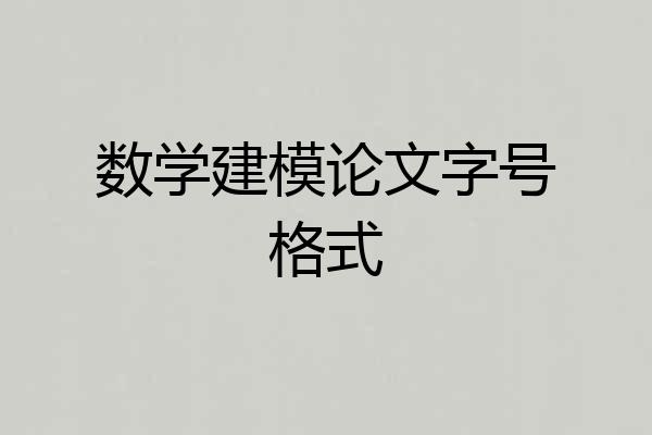 数学建模论文字号格式